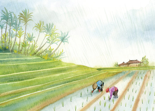 Marshmallow & Jordan - Bali Rice Field